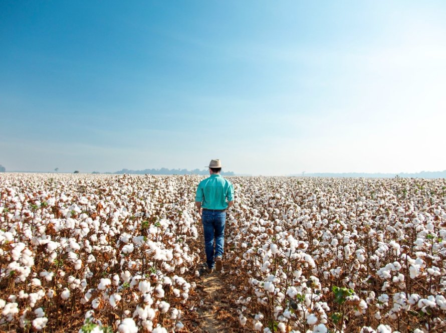 Bahia Farm Show terá lançamentos para soja, milho e algodão da BASF