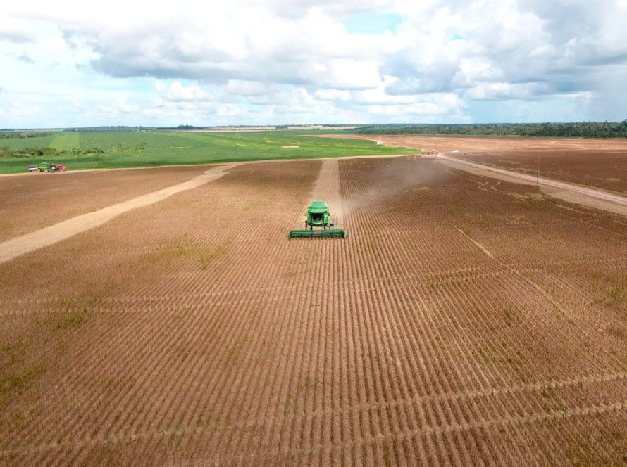 COOPER+: campeã de produtividade em soja na região Norte alcança 100,7 sacas por hectare