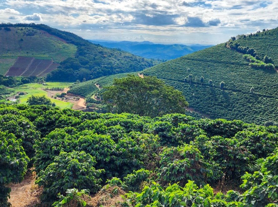 Exportações do agro mineiro atingem US$ 6,6 bilhões de janeiro a maio