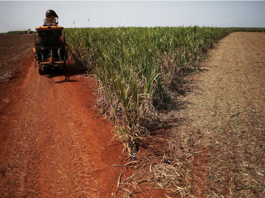 Greves em usinas de açúcar colocam em risco a safra de cana da Austrália