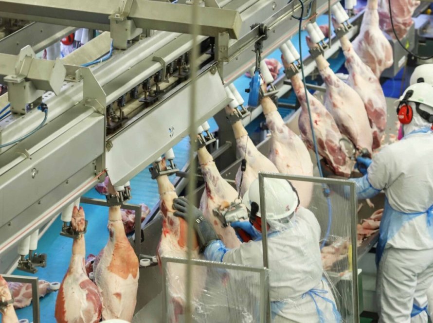 Exportação gaúcha de carne de frango fecha primeiro semestre com queda de 4,7%