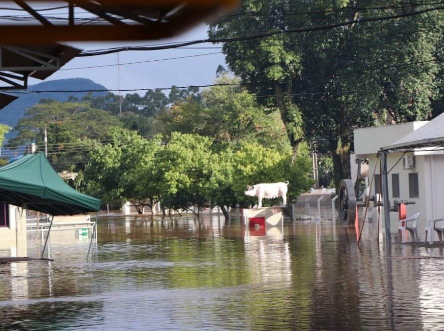 Impactada pelas chuvas no Rio Grande do Sul, a Agroindústria contrai em maio, é o que revela a pesquisa do FGVAgro