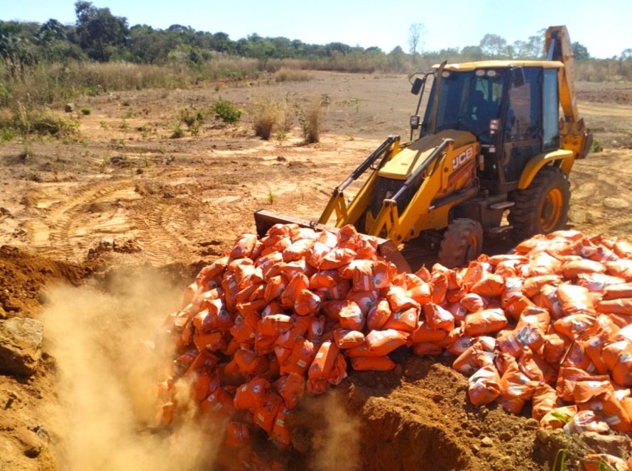 Mais de quinze toneladas de sementes irregulares apreendidas em fiscalização do Indea são destruídas em Agua Boa/MT