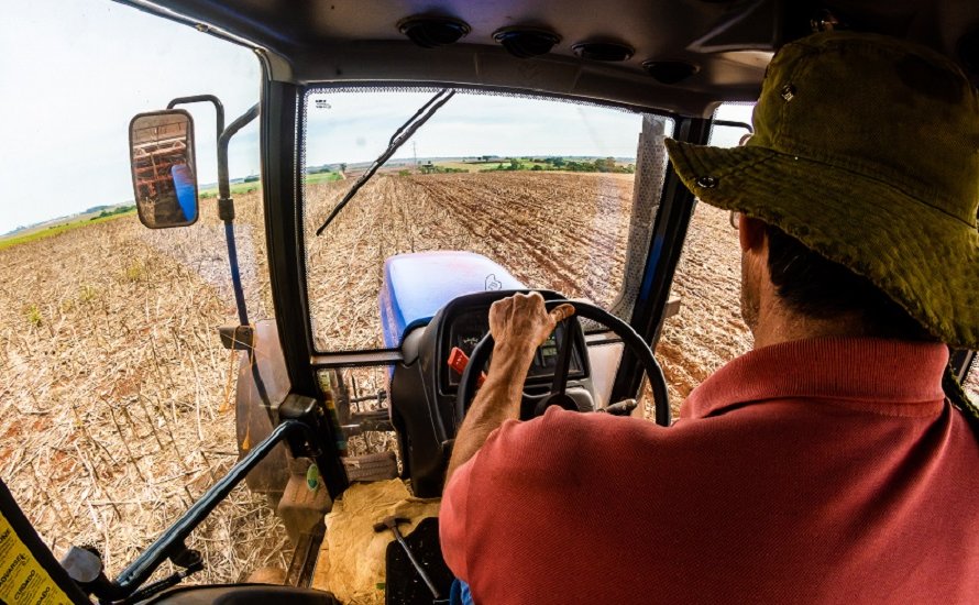 Pequenas propriedades são 70% dos estabelecimentos produtores de soja no Brasil