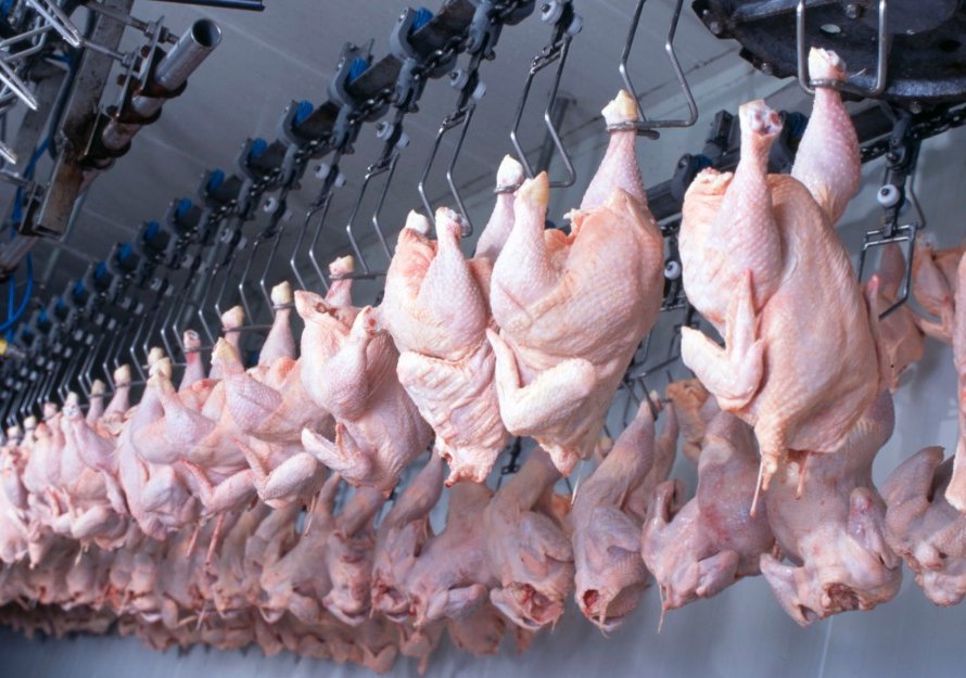 Perto de julho chegar ao fim, exportações de carne de frango ainda não 'empataram' com os resultados de julho do ano passado