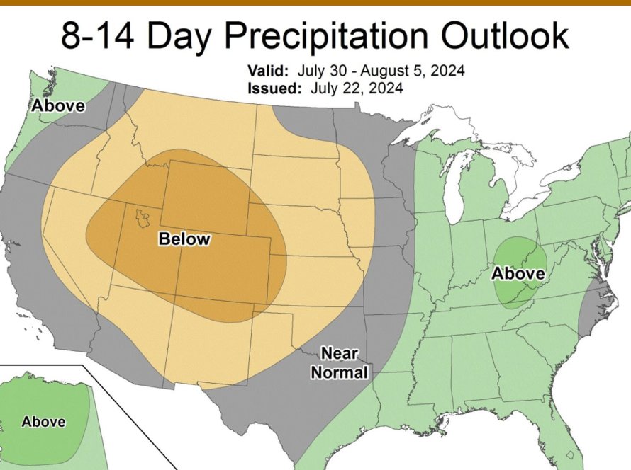 Soja volta a intensificar altas em Chicago nesta 3ª feira, com sinais de alerta para o clima no Corn Belt