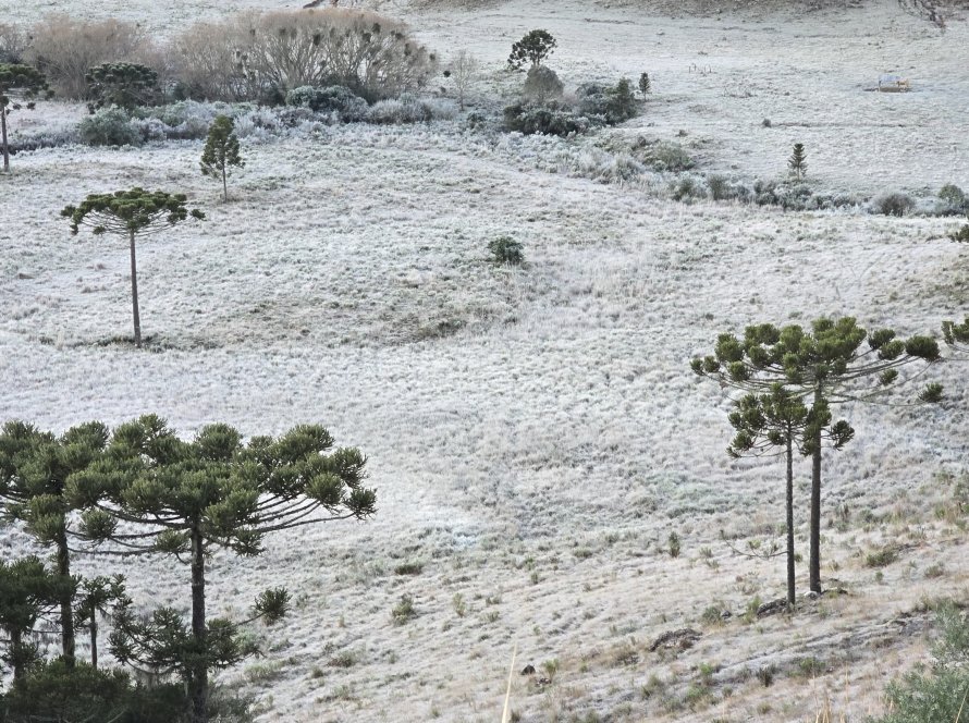 Sul do Brasil registra temperaturas negativas e frio continua por mais um dia