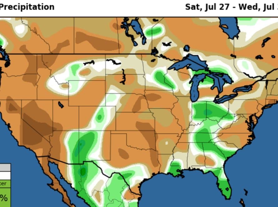 USDA traz leve redução na classificação de milho dos EUA, mas mantendo no caso da soja; atenção ao clima no Corn Belt