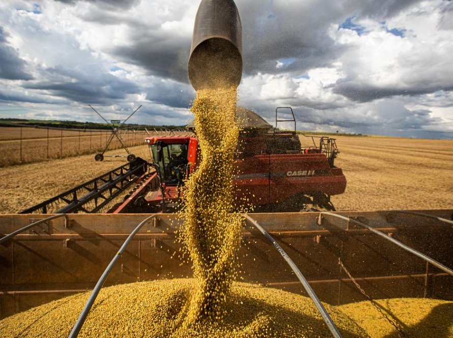 Com quebra de safra, agroindústria ameniza queda do PIB da soja e do biodiesel