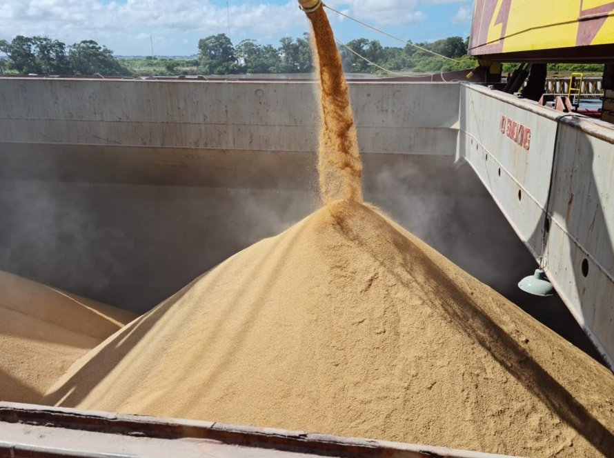 Abiarroz: Brasil exporta 164,4 mil toneladas de arroz em agosto