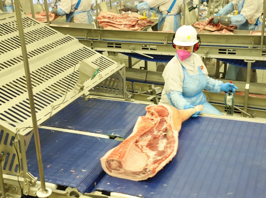 Exportação de carne suína em 10 dias úteis atinge o equivalente a 56% da arrecadação de setembro de 2023