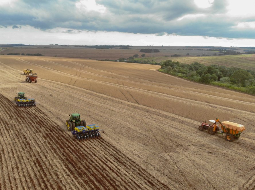 PR: Chuvas favorecem plantio e produção estimada de soja é de 22,4 milhões de toneladas