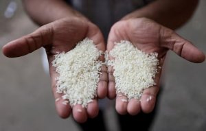 Abiarroz firma convênio com a Embrapa para oferecer tecnologia de rastreabilidade à cadeia do arroz