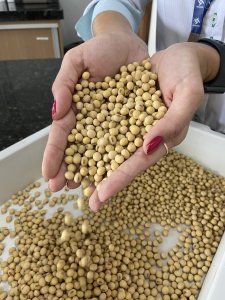 Brasil anuncia abertura de mercado no Gabão para sementes de milho, sorgo, braquiária e soja