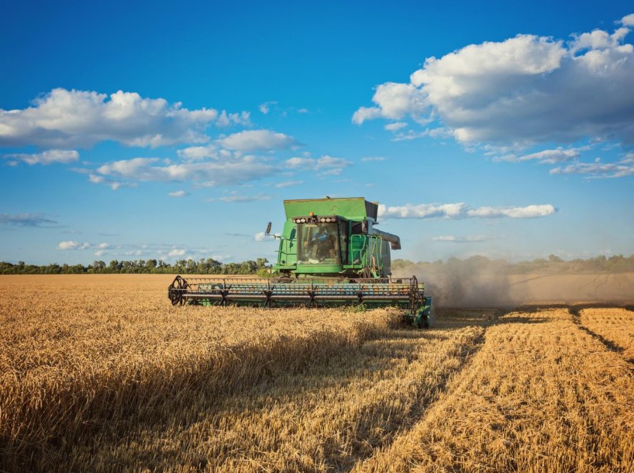 Clima e mercado: como os produtores de soja no Brasil enfrentam o cenário de incerteza em 2024