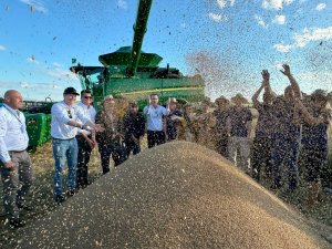 Colheita do trigo no Rio Grande do Sul deve superar 4 milhões de toneladas