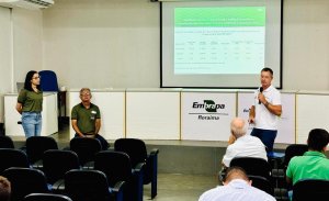 Embrapa realiza Curso sobre Manejo da Adubação Nitrogenada do Milho em Roraima, com ênfase no uso de ureias mais eficientes