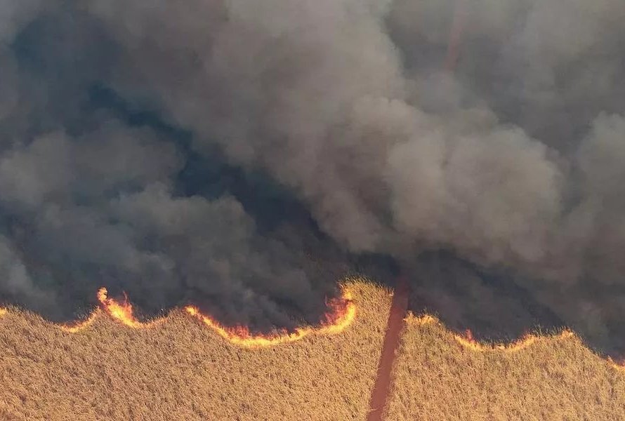 Incêndios florestais podem acarretar uma quebra de safra da cana de cerca de 15%, com prejuízos acima de R$ 2,5 bilhões para o setor