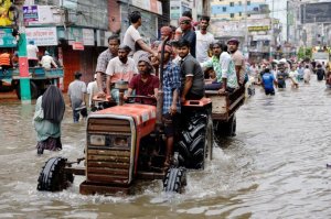 Inundações destroem 1,1 milhão de toneladas de arroz em Bangladesh