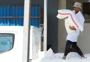 Iraque deve pagar alto preço por colheita abundante de trigo