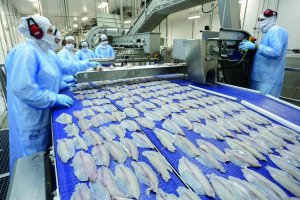 Ministério da Agricultura anuncia fim da exigência de CSI para exportação de pescados aos EUA