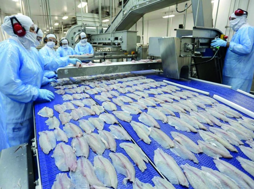 Ministério da Agricultura anuncia fim da exigência de CSI para exportação de pescados aos EUA