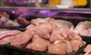 Outubro inicia com incremento no faturamento por média diária nas exportações brasileiras de carne de frango