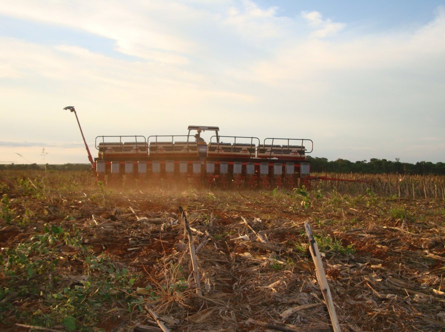 Plantio de soja do Brasil avança para 35,9% da área, diz Pátria AgroNegócios