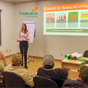 Projeto Colhe+: com adoção de estratégia de gestão, colheita de laranja tem ganho de 7% no rendimento diário