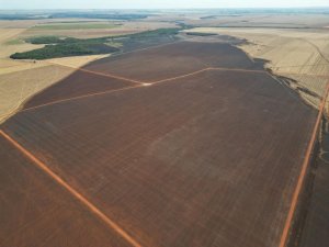 Queimadas, um desafio extra para o manejo de solo de uma safra em atraso