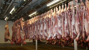 Recuperação nas exportações de carne suína