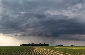 Em outubro voltou a chover acima da média e temperaturas ficaram mais próximas da normal