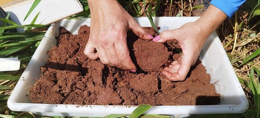 Embrapa Milho e Sorgo recebe certificação de Qualidade em Ensaio Interlaboratorial de análises de Carbono