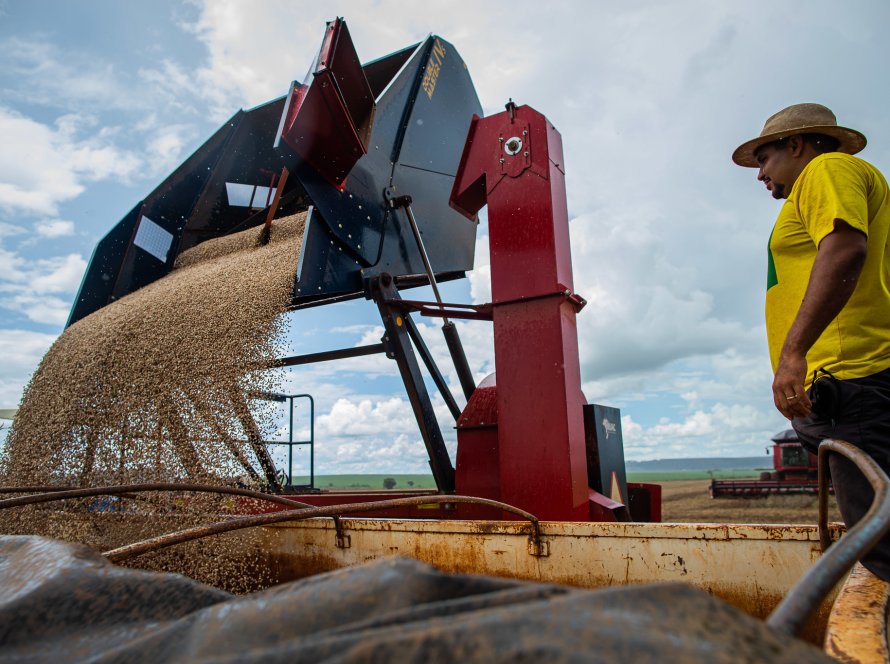 Exportação de feijão na TCP cresce 113% e atinge nova máxima histórica