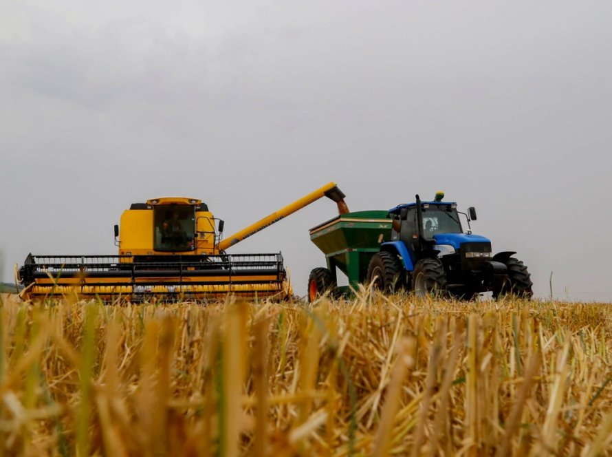 Exportações de trigo brasileiro sobem 21,6%, enquanto importações crescem 61,9% até setembro