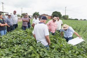 Giro Técnico na Soja 2024 divulgará resultados de boas práticas no Paraná