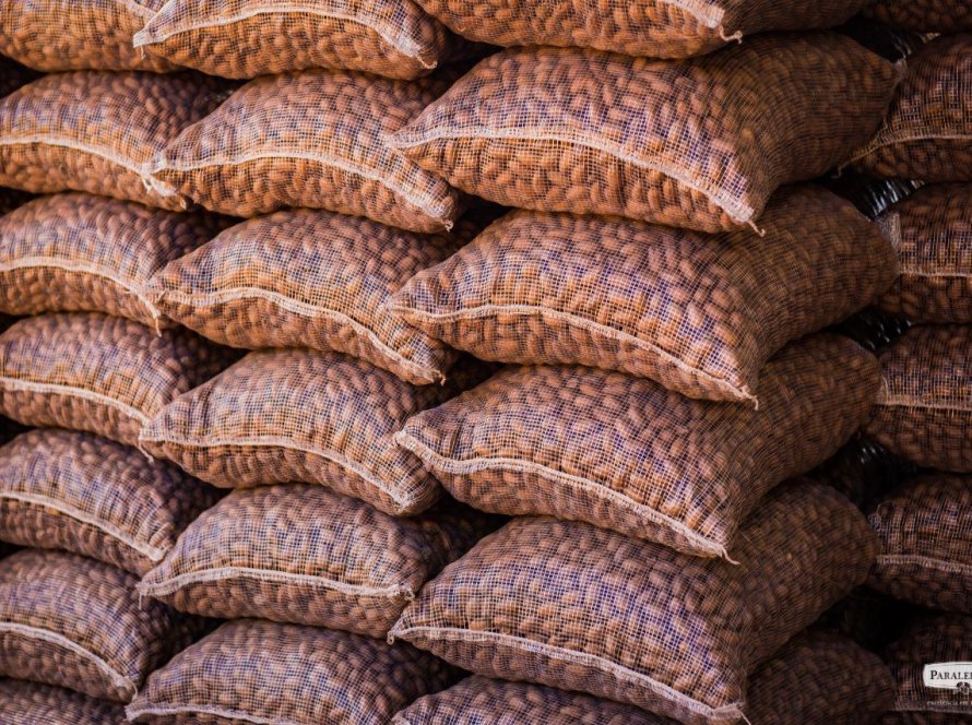 Indústria gaúcha de pecan está próxima de exportar para a China