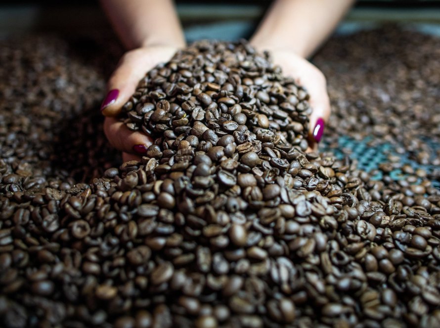 Mercado cafeeiro fecha sessão desta 2ª feira (04) com altas e segue monitorando chuvas no Brasil