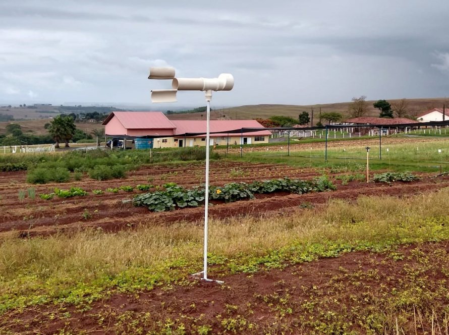 Pesquisadores do Paraná usam Inteligência Artificial para combate da ferrugem da soja