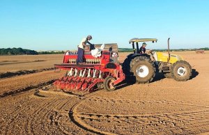 Rio Grande do Sul atinge 84% de área semeada de arroz