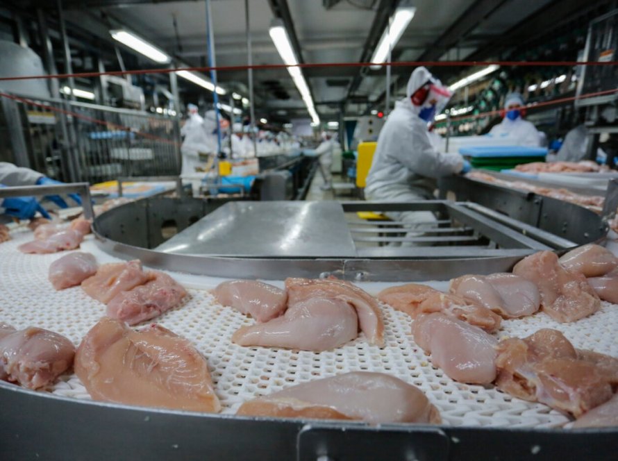 Exportações de carne de frango crescem 23,2% em novembro