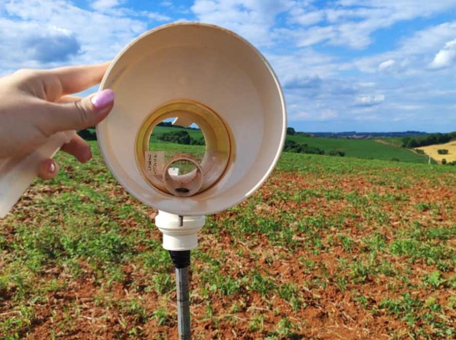 Monitoramento da ferrugem da soja completa dois meses nas lavouras gaúchas