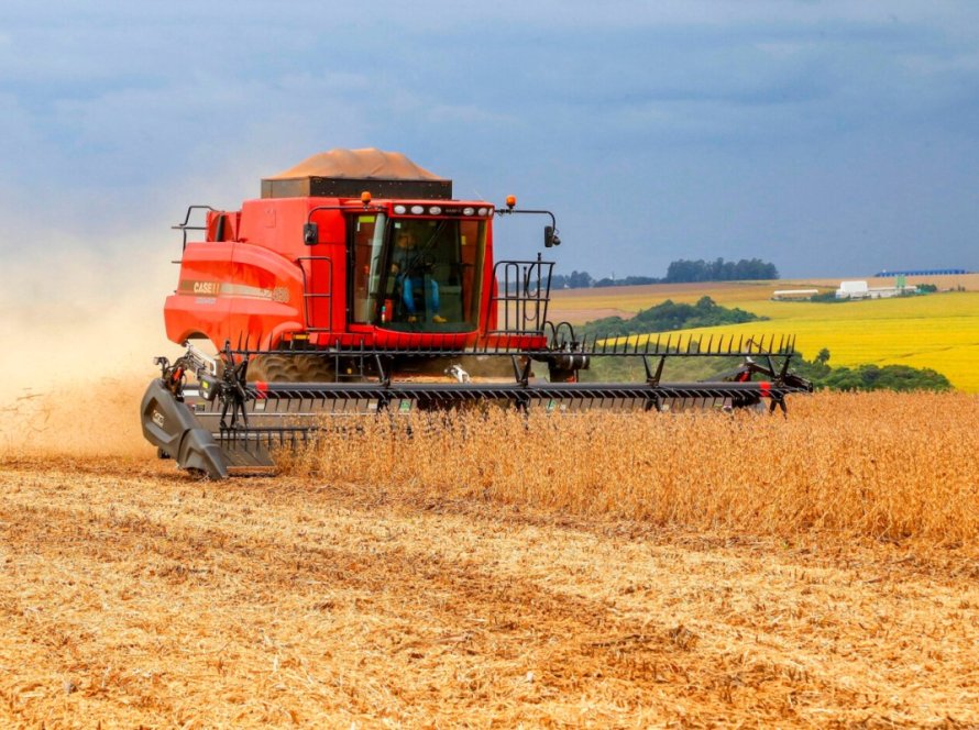 Clima favorável impulsiona produtividade da soja no Brasil