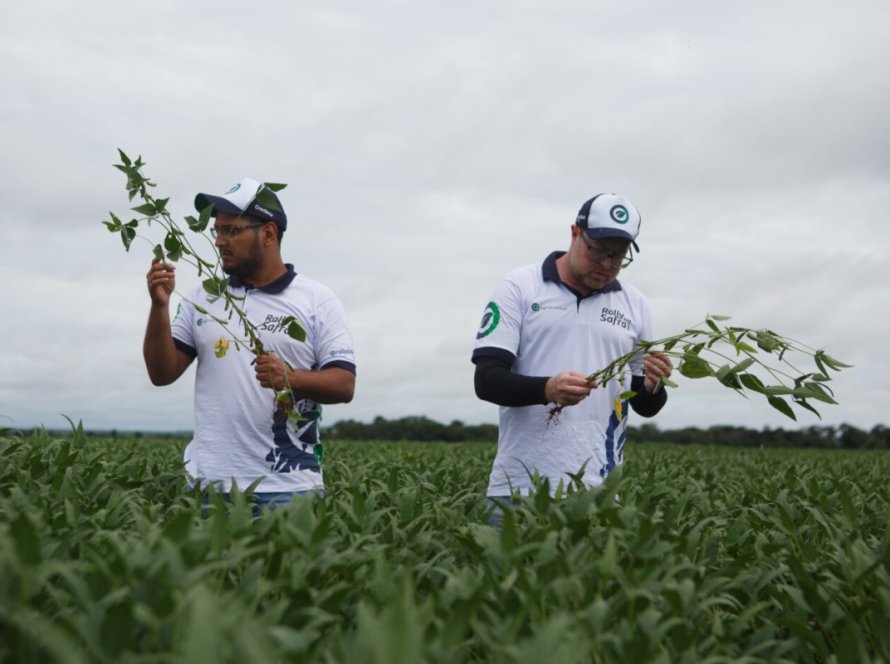 Impulsionada pelo clima favorável e aumento de área, safra de soja deve ser a maior da história