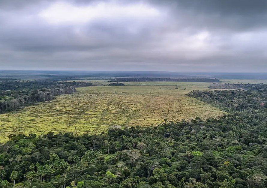 Mato Grosso aprova leis ambientais contrárias à legislação federal