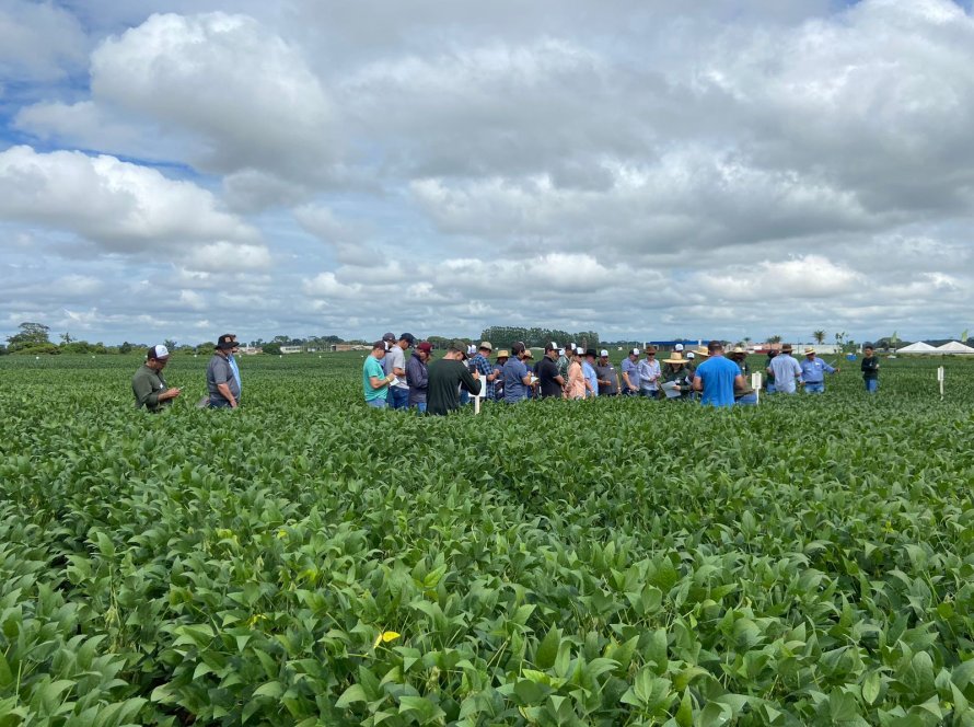 Produtores do extremo norte de Mato Grosso já podem buscar dados de pesquisa e serviços agronômicos direcionados