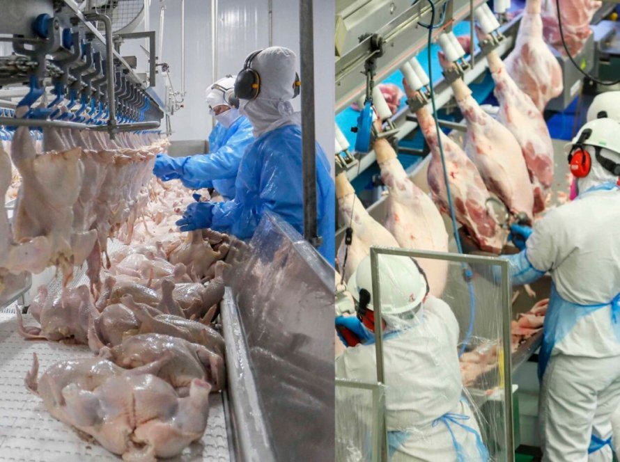 Sobe de 1 para 7 os estados que podem exportar carne brasileira ao Peru; saiba quais