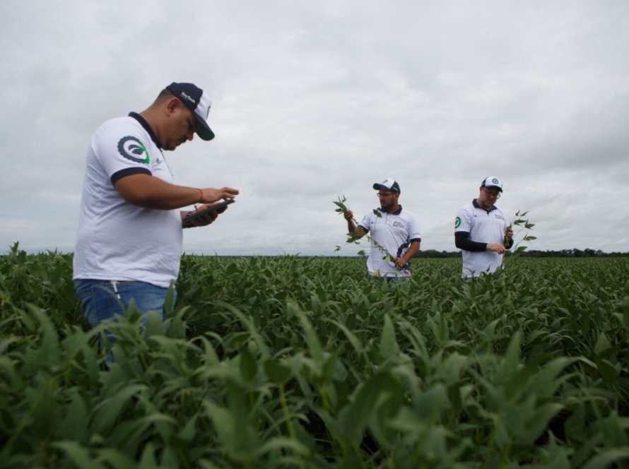 Com regiões afetadas pela seca, Paraná deve ter reduzida a produtividade da soja