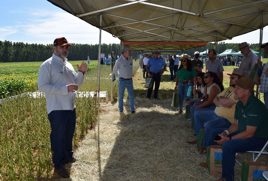 Embrapa e Fundação Cerrados apresentam variedades de soja em Dia de Campo