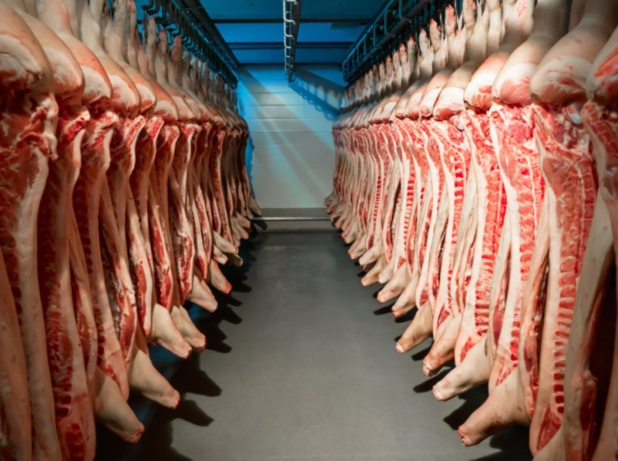 Exportações de carne suína avançam 6,4% em janeiro